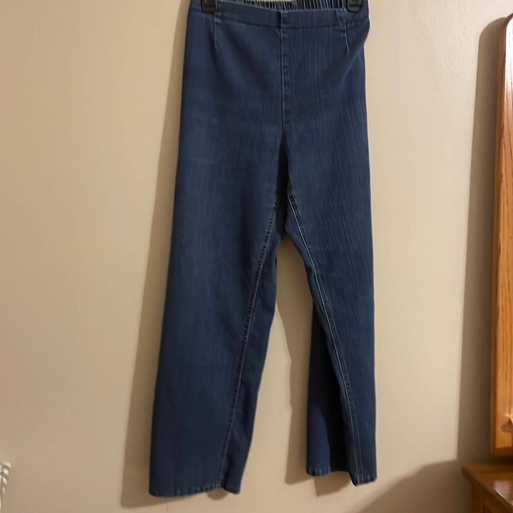 Susan Graver Mom type jeans with elastic back and side zipper. large-short